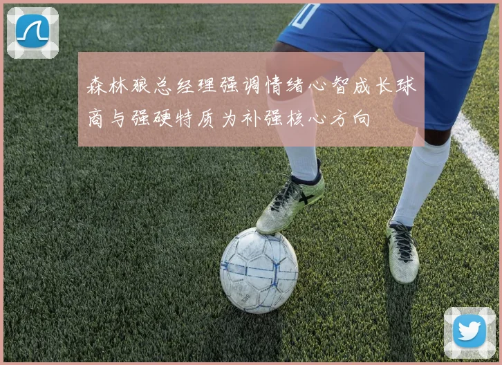 森林狼总经理强调情绪心智成长球商与强硬特质为补强核心方向